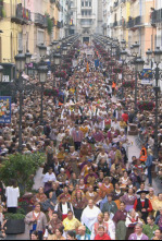 Imagen de Ofrenda de flores 2025 - 4