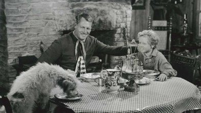 Imagen de La mano solitaria - 3