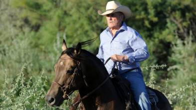 Imagen de Caballos salvajes - 3