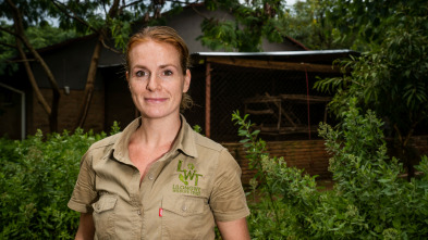 Imagen de Centro de rescate en...: La gran evasión - 3