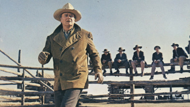 Imagen de Los cowboys - 3