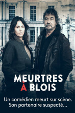 Imagen de Asesinato en Blois - 2
