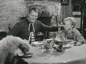 Imagen de La mano solitaria - 1