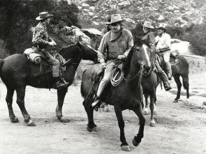 Imagen de Espuelas negras - 1