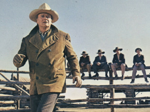 Imagen de Los cowboys - 1