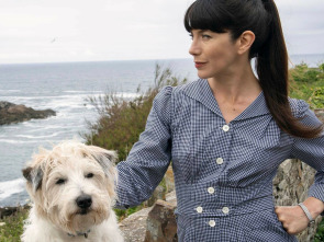 Imagen de Doc Martin (T9): Ep.8 Licencia para ejercer - 1