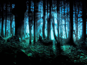 Imagen de Maigret (T2) - 1