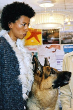 Imagen de Rex, un policía... (T14): Ep.8 Todo en una noche - 2