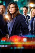 Imagen de Ley y orden:... (T19): Ep.3 Contrapaso - 2