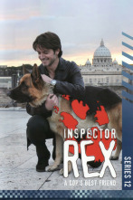 Imagen de Rex, un policía... (T12): Ep.3 La escuela del miedo - 2