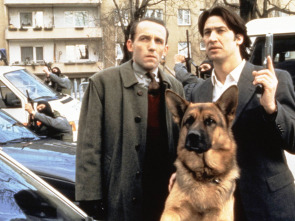 Imagen de Rex, un policía... (T13): Ep.1 El campeón - 1