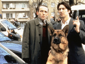 Imagen de Rex, un policía... (T13): Ep.9 Caso reabierto - 1