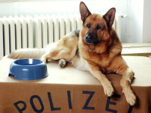 Imagen de Rex, un policía... (T17): Ep.7 Soldado futuro - 1