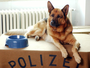 Imagen de Rex, un policía... (T18): Ep.2 El cadáver desaparecido - 1