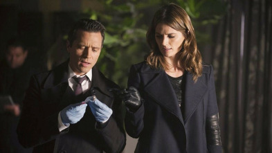 Castle (T7): Ep.11 Castle, investigador privado