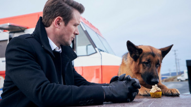 Imagen de Hudson y Rex (T1) - 5