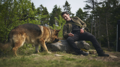 Imagen de Hudson y Rex (T8): Ep.9 Todas las decisiones equivocadas - 7
