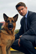 Imagen de Hudson y Rex (T1): Ep.5 Perseguido por el pasado - 7