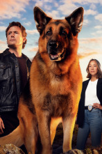 Imagen de Hudson y Rex (T7): Ep.1 Doble o Nada - 2