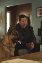 Imagen de Hudson y Rex (T8): Ep.9 Todas las decisiones equivocadas - 6