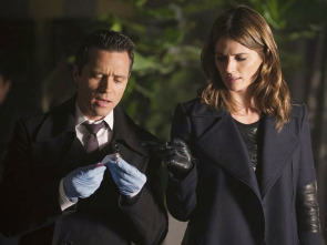 Castle (T7): Ep.11 Castle, investigador privado