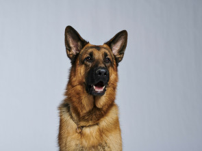 Imagen de Hudson & Rex (T2) - 3