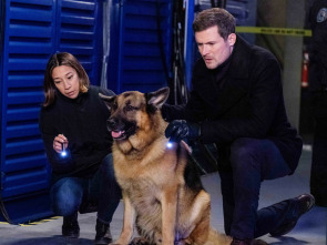Imagen de Hudson y Rex (T4): Ep.9 El síndrome del perro impostor - 2