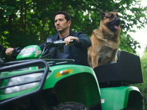 Imagen de Hudson y Rex (T8): Ep.8 A vista de pájaro - 5