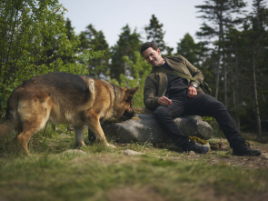 Imagen de Hudson y Rex (T8): Ep. Hudson & Rex (8): Ep 810 - 5