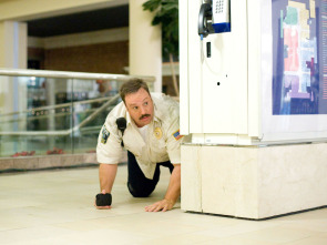 Imagen de Superpoli de centro comercial - 6