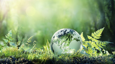 Imagen de The Climate Question (T1): Does Climate Change Fuel Epidemics? - 3