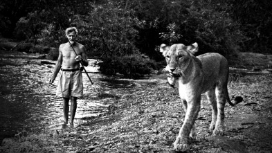 Imagen de Elsa. La leona que cambió el mundo - 3