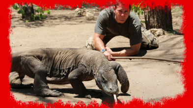Imagen de Fauna letal  - 3