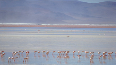 Imagen de Sudamérica salvaje:...: Ep.5 - 3