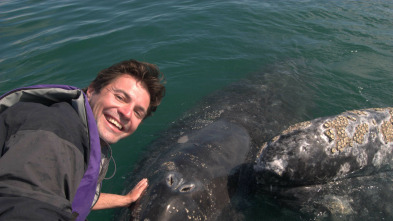 Imagen de Los increíbles...: Ep.1 - 3