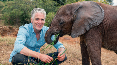 Imagen de La familia elefante y yo: Ep.2 - 3