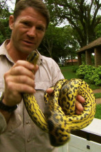 Imagen de Fauna letal: Panamá - 2