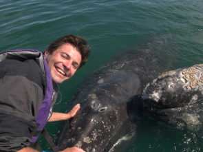 Imagen de Los increíbles...: Ep.1 - 1