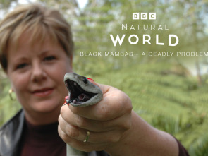 Imagen de Mambas negras: un problema mortal - 1