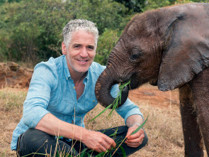 Imagen de La familia elefante y yo: Ep.1 - 1