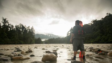 Imagen de Viaje al río salvaje  - 3