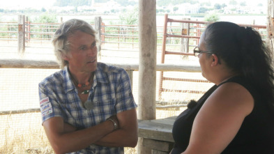 Imagen de Volando voy: Doñana - 8