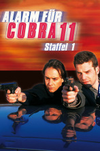 Imagen de Alerta Cobra (T20): Ep.14 Duelo en el bosque - 7