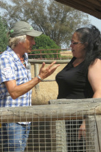 Imagen de Volando voy: Doñana - 7