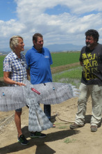 Imagen de Volando voy: El Delta del Ebro - 7