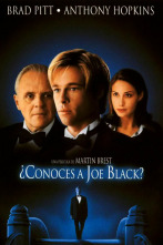 Imagen de ¿Conoces a Joe Black? - 2