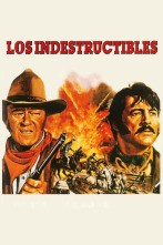Imagen de Los indestructibles - 2