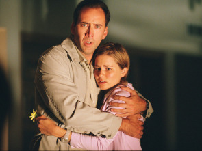 Imagen de Los impostores - 1