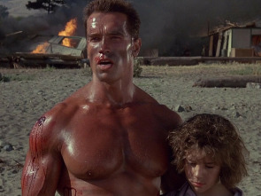 Imagen de Comando - 2