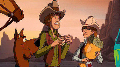 Imagen de Scooby-doo! el conflicto de shaggy - 3